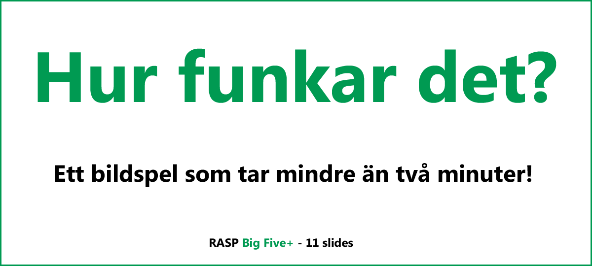 RASP Big Five+ - Hur fungerar det?