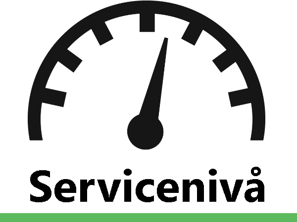 RASP ServiceMind - Ett Servicetest