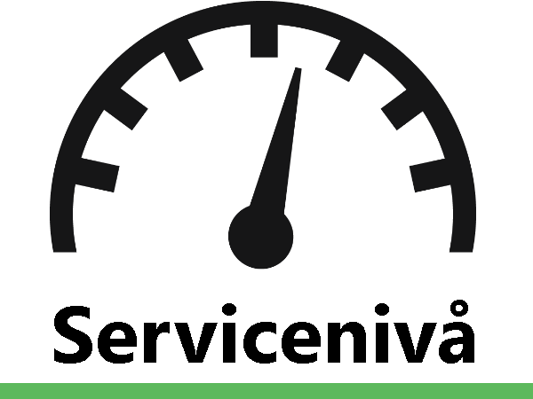 RASP ServiceMind - Ett servicetest