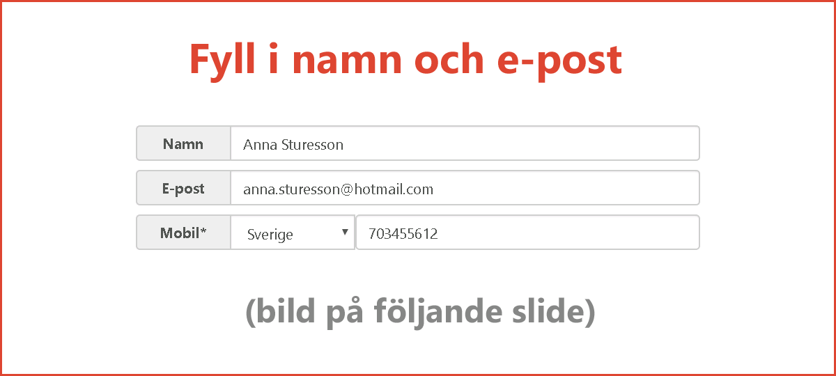 RASP ServiceMind - Fyll i namn och e-post