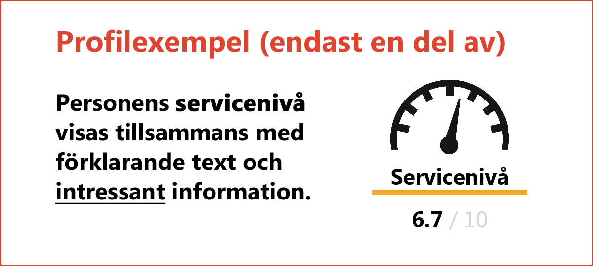 RASP ServiceMind - Profilexempel med intressant information