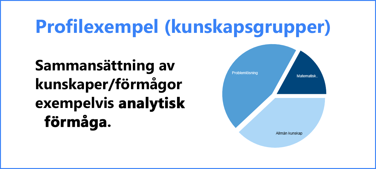 RASP Talent - Profilexempel - Kunskapsgrupper